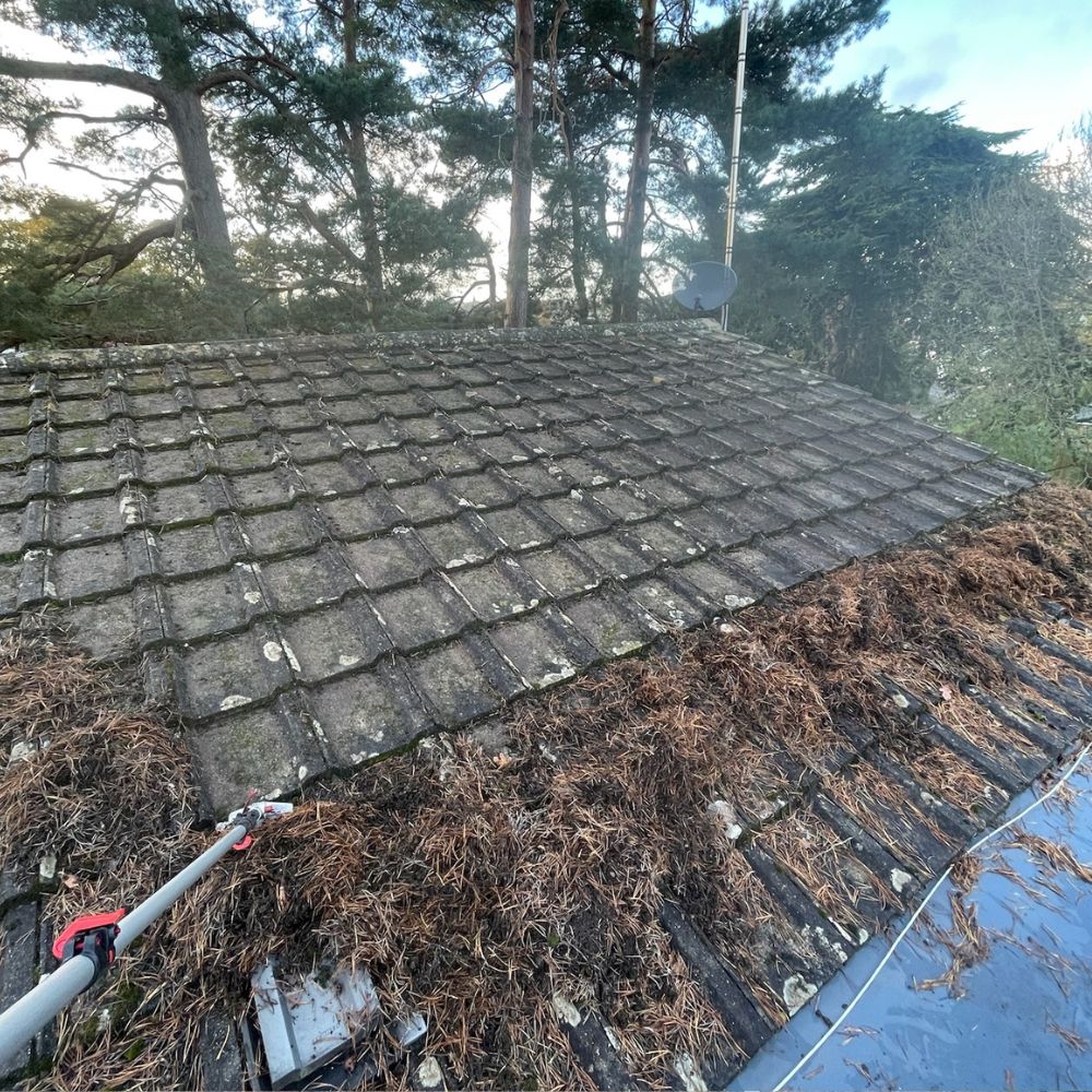 Roof cleaning In Hampshire and Dorset Roof Tile cleaning and Moss removal In Hampshire and Dorset